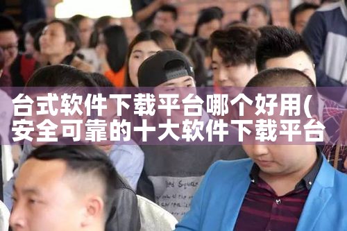 台式软件下载平台哪个好用|男娘日记