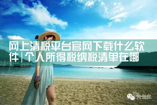 网上清税平台官网下载什么软件
