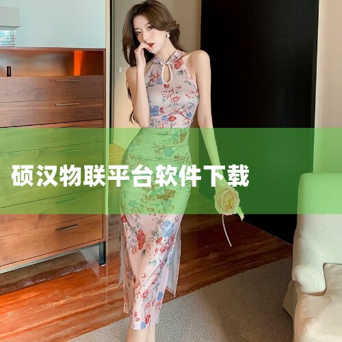 企业回杭州涂鸦信息技术有限公司是一家专注于物联网技术和解决方案的创新企业。我们提供全面的物联网平台服务，包括设备连接、数据存储和分析、应用开发等。我们的平台具有高度的灵活性和可扩展性，能够满足各种行业|糖心Vlog入口