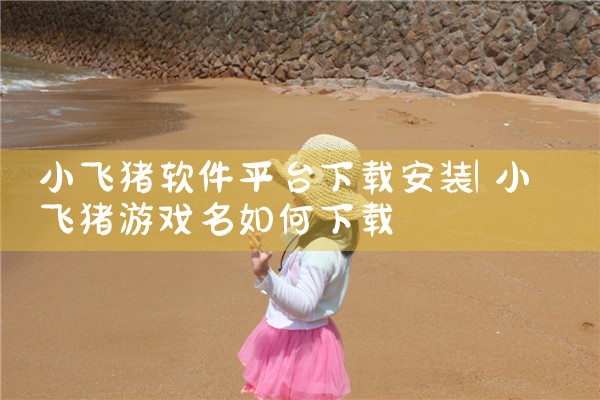 小飞猪软件平台下载安装