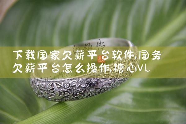 下载国家欠薪平台软件|糖心Vlog